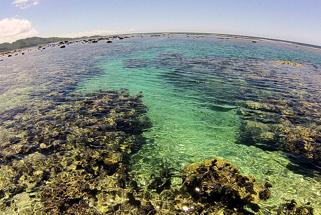 Snorkeling at SigaSiga Sands Resort in Fiji