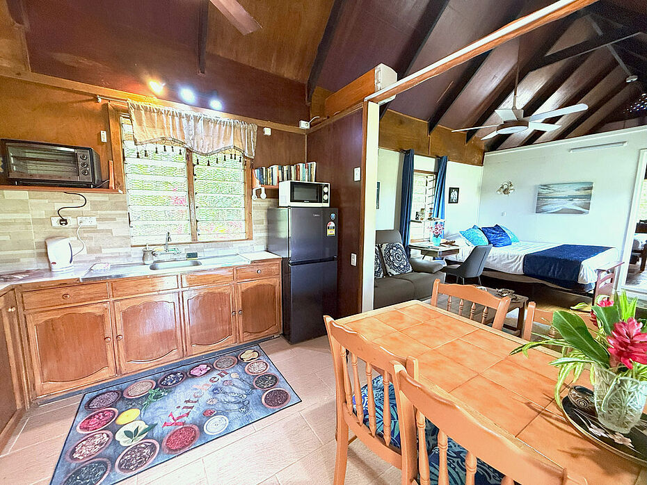 Living room doubles as second bedroom with queen-bed and SmartTV with Netflix streaming