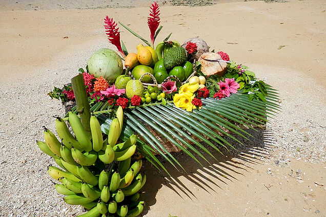 Fruit collection at the beach