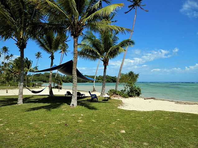 Shade for hammock on our private paradise beach